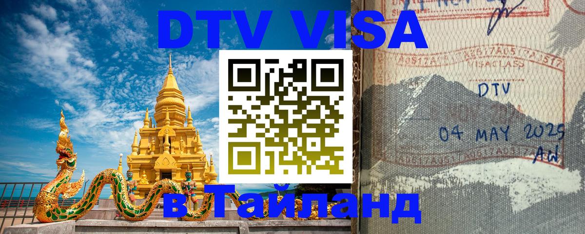 Оформление DTV визы под ключ: стоимость и тарифы, только загранпаспорт - 